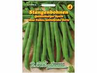 Stangenbohnen 'Quedlinburger Speck' mittelfrüh, grün, ohne Fäden