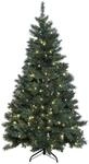 Best Season 609-02 LED-Weihnachtsbaum Ottawa beleuchtet, outdoor