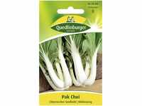 Pak Choi, Pok Choi, Japanischer Stengelkohl, Brassica camprestris, ca. 40 Samen