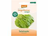 Bingenheimer Saatgut - Rucola Salatrauke Ruca - Gemüse Saatgut / Samen