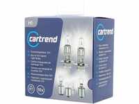 cartrend H1 Ersatzlampen-Koffer