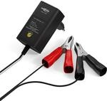 ANSMANN Batterie Ladeger&auml;t 2V/6V/12V mit Erhaltungsladung zum Einlagern von Blei