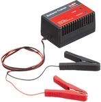 HP-Autozubeh&ouml;r 20817 Batterietrainer 12V 500mA, OneSize