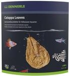 Dennerle Catappa Leaves, 10 St&uuml;ck - Getrocknete Seemandelbaumbl&auml;tter, nat&uuml;liche