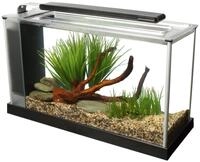 Fluval Spec 5 Nano Aquarium, mit 19L Fassungsvermoegen, in schwarz