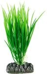 Hobby 41500 Cyperus, 16 cm