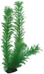 Hobby Egeria, 34 cm