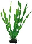 Hobby Vallisneria, 34 cm, 55 g (1er Pack)