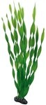 Hobby Vallisneria, 46 cm