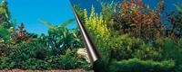 EBI Europet Bernina 241-108956 Photo-R&uuml;ckwand, 120 x 50 cm Motiv Beauty und Sea