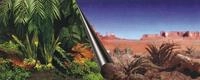Europet Bernina 241-109076 Photo-R&uuml;ckwand, 60 x 30 cm Motiv Jungle and Dessert