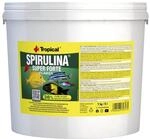 Tropical Super Spirulina Forte Flockenfutter mit 36% Spirulina (Platensis) Anteil,
