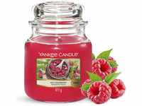 Yankee Candle Duftkerze im Glas (mittelgroß) | Red Raspberry | Brenndauer bis zu 75