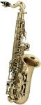 Roy Benson Eb-Alt Kinder Saxophon AS-201 (Speziell f&uuml;r Kinder entworfen, inklusive