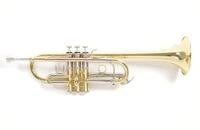 Roy Benson C-Trompete TR-402C (vielseitige Trompete, mit umschaltbarer Stimmung von C