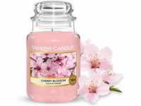 Yankee Candle Duftkerze im Glas (groß) | Cherry Blossom | Brenndauer bis zu 150