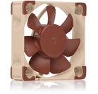 Noctua NF-A4x10 FLX, Leiser Premium-Lüfter, 3-Pin (40x10mm, Braun) Noctua NF-A4x10 FLX, Leiser Premium-Lüfter, 3-Pin (40x10mm, Braun)