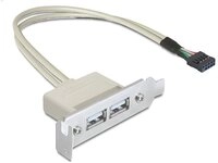 DELOCK Slotblech - USB 2.0 2xport Low Profile