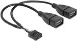 Delock USB-Kabel USB 2.0Pfostenstecker 8pol, USB-A Buchse 20.00cm Schwarz
