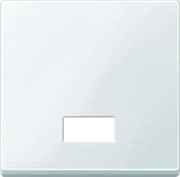 Merten 432819 Wippe mit rechteckigem Symbolfenster, polarwei&szlig; gl&auml;nzend,...