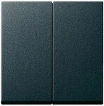 Gira 029528 Serienwippen System 55, anthrazit
