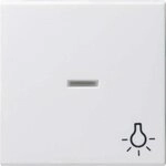 Gira 067427 Wippe Kontroll Symbol Licht System 55, reinwei&szlig; matt