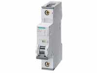 Siemens 5SY41026 5SY4102-6 Leitungsschutzschalter 2A 230 V, 400V