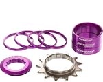 Reverse Singlespeed Umbausatz mit 13 Komponenten Ritzel