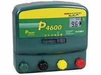 P4600, Batterien Multifunktions-Gerät, 230V/12V - 145450