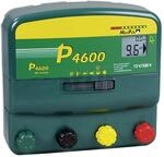 P4600, Batterien Multifunktions-Ger&auml;t, 230V/12V - 145450
