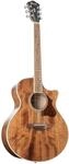 Ibanez AE Series AE245-NT Natural