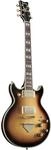 Ibanez AR420 VLS Violin Sunburst E-Gitarre Ibanez Modelle
