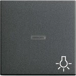 Gira 067428 Wippe Kontroll Symbol Licht System 55, anthrazit