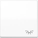 Jung AS591LWW Wippe mit Symbol Licht