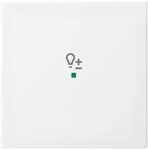 Busch-Jaeger Wippe aws Busch-balance SI 6234-10-914