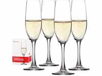 Spiegelau 4-teiliges Champagnerflöten-Set, Sektgläser, Kristallglas, 190 ml,