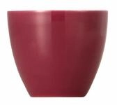 Thomas Sunny Day Fuchsia Eierbecher