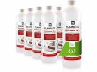 Höfer Chemie 6X 1 L FLAMBIOL® Bioethanol 99,9% Premium für Ethanol Kamin,...