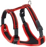 Ferplast Pettorina Cane Taglia Piccola ERGOCOMFORT SMALL, Pettorina Cane Regolabile,