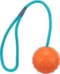 TRIXIE robustes Hundespielzeug Ball am Seil, zum Apportieren &ndash; 30 cm
