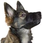 Kerbl Pet Nylon Maulkorb XXL, schwarz 22-30 cm / 11 cm | Nylon, 22 - 30 cm / 11 cm,