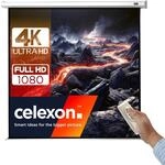 celexon Economy Motor-Leinwand 100" | 180x180 cm 1:1