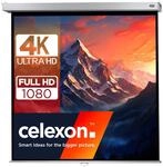 celexon Professional Plus Rollo-Leinwand 135" | 240x240 cm 1:1
