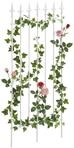 CLP Rankgitter Metall 100x50 cm Elisa, Kletterhilfe stabil f&uuml;r Rosen und Efeu,