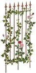 CLP Rankgitter Metall 100x50 cm Elisa, Kletterhilfe stabil f&uuml;r Rosen und Efeu,