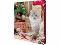 Trixie 9269 Vorweihnachtszeit Adventskalender für Katzen, 30 × 34 × 3,5 cm