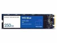 WD Blue SATA SSD M.2 2280 250 GB, 2,5 Zoll (interne SSD, hohe Zuverlässigkeit,