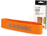 BLACKROLL&reg; LOOP BAND (32 cm), Fitnessband f&uuml;r funktionales Training,