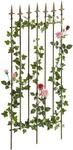 CLP Rankgitter Metall 100x50 cm Elisa, Kletterhilfe stabil f&uuml;r Rosen und Efeu,