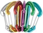 EDELRID Karabiner Nineteen G Secherpack (Drahtschnapper, bunt)